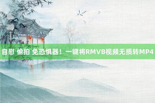 自慰 偷拍 免恐惧器！一键将RMVB视频无损转MP4