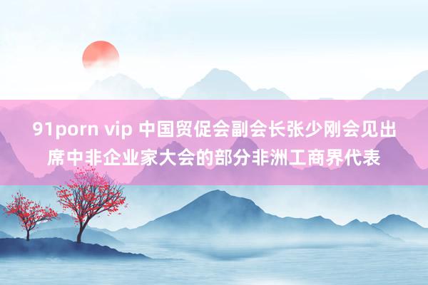 91porn vip 中国贸促会副会长张少刚会见出席中非企业家大会的部分非洲工商界代表