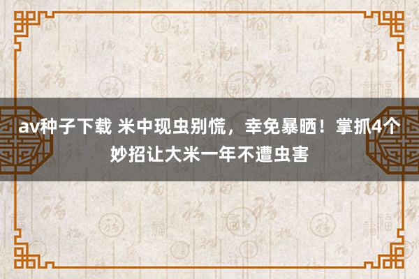 av种子下载 米中现虫别慌，幸免暴晒！掌抓4个妙招让大米一年不遭虫害