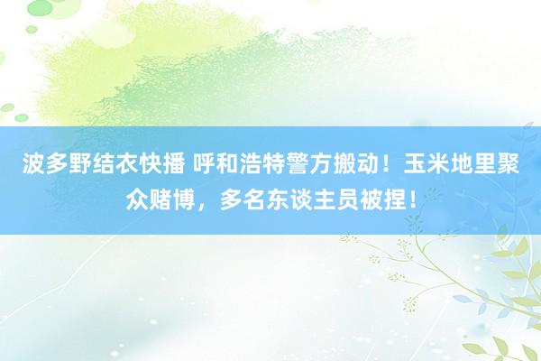 波多野结衣快播 呼和浩特警方搬动！玉米地里聚众赌博，多名东谈主员被捏！