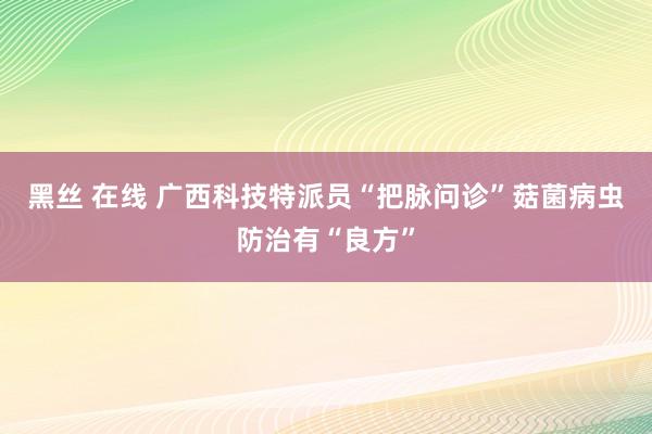 黑丝 在线 广西科技特派员“把脉问诊”菇菌病虫防治有“良方”