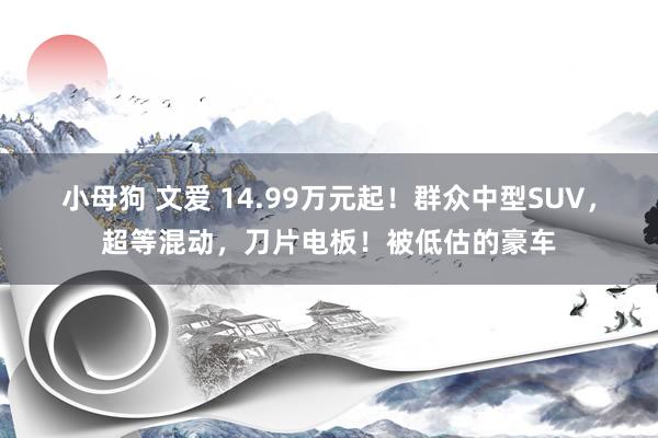 小母狗 文爱 14.99万元起！群众中型SUV，超等混动，刀片电板！被低估的豪车