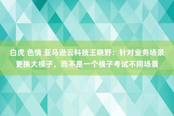 白虎 色情 亚马逊云科技王晓野：针对业务场景更换大模子，而不是一个模子考试不同场景