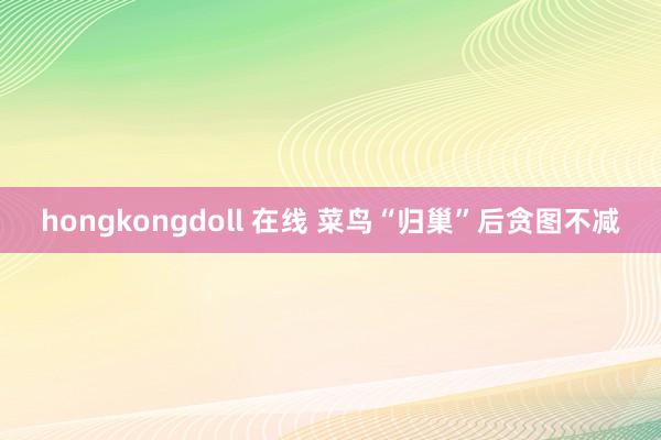 hongkongdoll 在线 菜鸟“归巢”后贪图不减