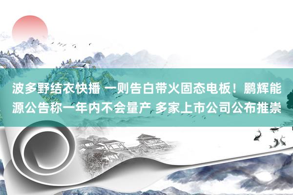 波多野结衣快播 一则告白带火固态电板！鹏辉能源公告称一年内不会量产 多家上市公司公布推崇