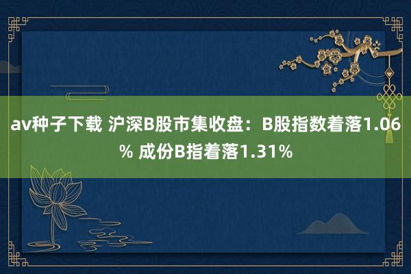 av种子下载 沪深B股市集收盘：B股指数着落1.06% 成份B指着落1.31%