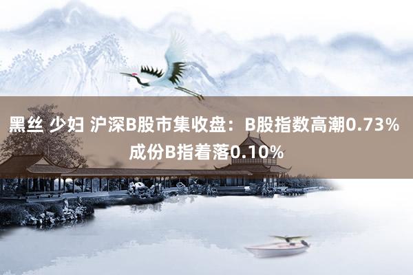 黑丝 少妇 沪深B股市集收盘：B股指数高潮0.73% 成份B指着落0.10%