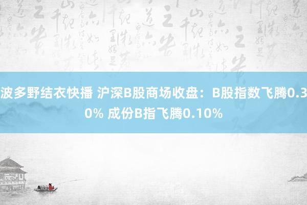 波多野结衣快播 沪深B股商场收盘：B股指数飞腾0.30% 成份B指飞腾0.10%