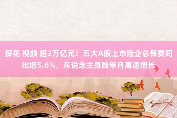 探花 视频 超2万亿元！五大A股上市险企总保费同比增5.6%，东说念主身险单月高速增长