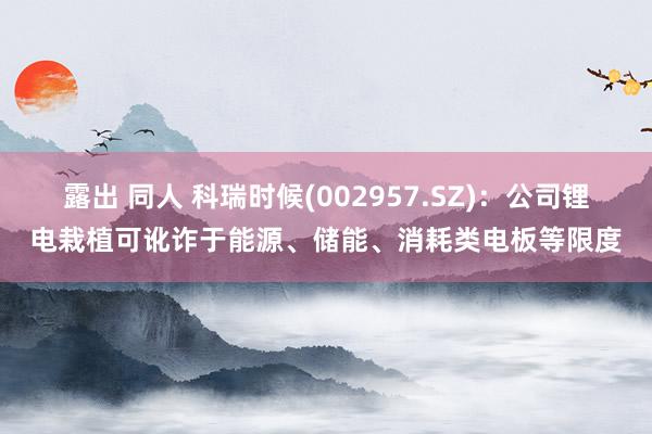 露出 同人 科瑞时候(002957.SZ)：公司锂电栽植可讹诈于能源、储能、消耗类电板等限度