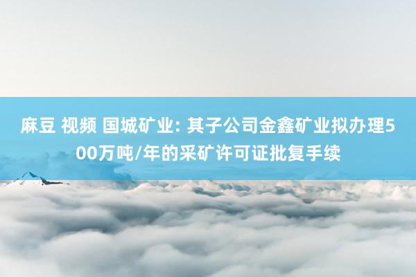 麻豆 视频 国城矿业: 其子公司金鑫矿业拟办理500万吨/年的采矿许可证批复手续