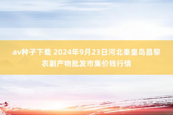 av种子下载 2024年9月23日河北秦皇岛昌黎农副产物批发市集价钱行情