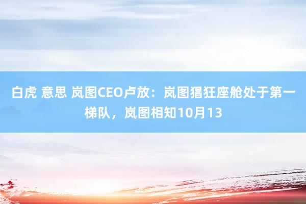 白虎 意思 岚图CEO卢放：岚图猖狂座舱处于第一梯队，岚图相知10月13