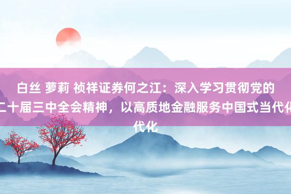 白丝 萝莉 祯祥证券何之江：深入学习贯彻党的二十届三中全会精神，以高质地金融服务中国式当代化