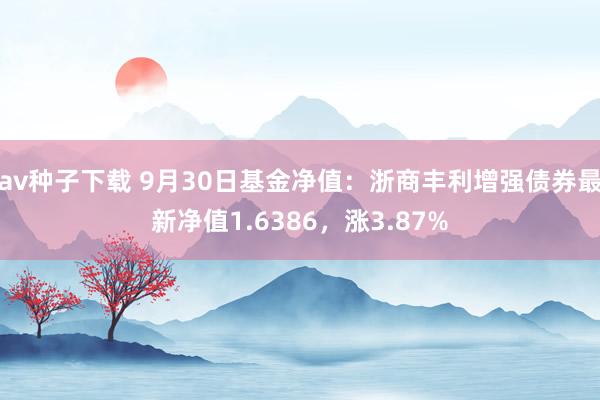 av种子下载 9月30日基金净值：浙商丰利增强债券最新净值1.6386，涨3.87%