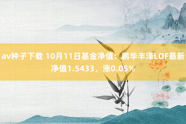 av种子下载 10月11日基金净值：鹏华丰泽LOF最新净值1.5433，涨0.05%