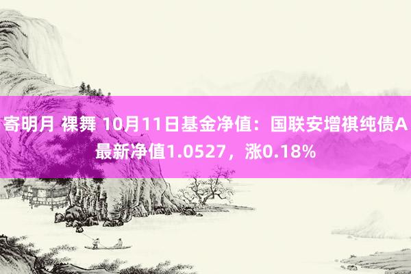 寄明月 裸舞 10月11日基金净值：国联安增祺纯债A最新净值1.0527，涨0.18%