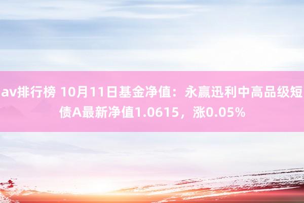 av排行榜 10月11日基金净值：永赢迅利中高品级短债A最新净值1.0615，涨0.05%