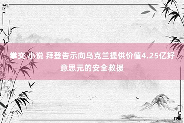 拳交 小说 拜登告示向乌克兰提供价值4.25亿好意思元的安全救援