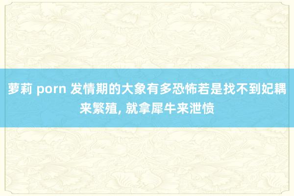 萝莉 porn 发情期的大象有多恐怖若是找不到妃耦来繁殖， 就拿犀牛来泄愤