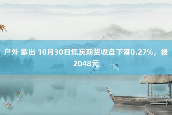 户外 露出 10月30日焦炭期货收盘下落0.27%，报2048元