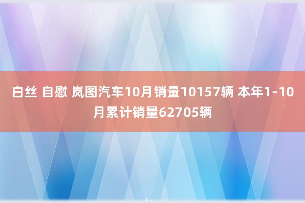 白丝 自慰 岚图汽车10月销量10157辆 本年1-10月累计销量62705辆