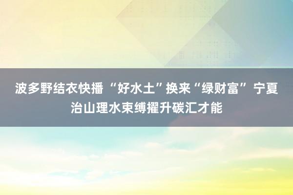 波多野结衣快播 “好水土”换来“绿财富” 宁夏治山理水束缚擢升碳汇才能