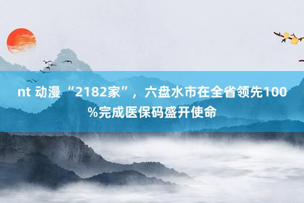 nt 动漫 “2182家”，六盘水市在全省领先100%完成医保码盛开使命