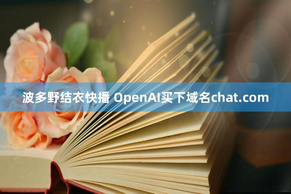 波多野结衣快播 OpenAI买下域名chat.com