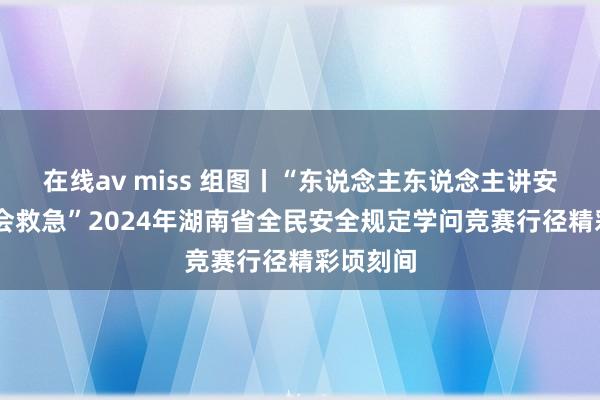 在线av miss 组图丨“东说念主东说念主讲安全 个个会救急”2024年湖南省全民安全规定学问竞赛行径精彩顷刻间