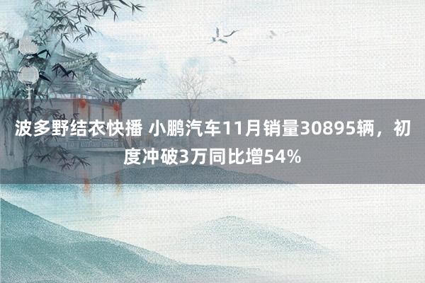 波多野结衣快播 小鹏汽车11月销量30895辆，初度冲破3万同比增54%