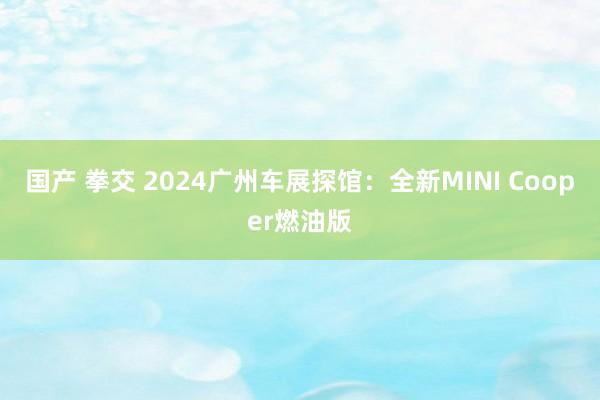 国产 拳交 2024广州车展探馆：全新MINI Cooper燃油版