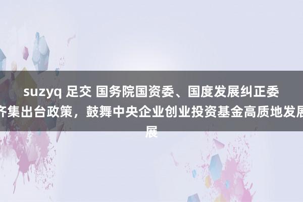 suzyq 足交 国务院国资委、国度发展纠正委齐集出台政策，鼓舞中央企业创业投资基金高质地发展