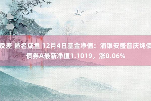 反差 匿名咸鱼 12月4日基金净值：浦银安盛普庆纯债债券A最新净值1.1019，涨0.06%