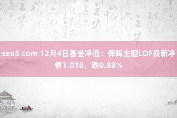 sex5 com 12月4日基金净值：保障主题LOF最新净值1.018，跌0.88%