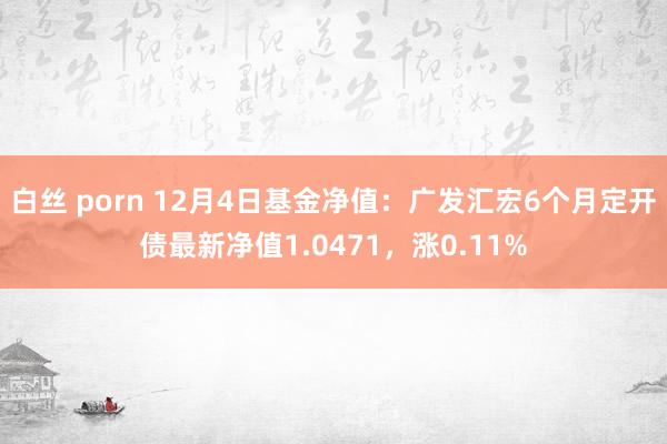 白丝 porn 12月4日基金净值：广发汇宏6个月定开债最新净值1.0471，涨0.11%