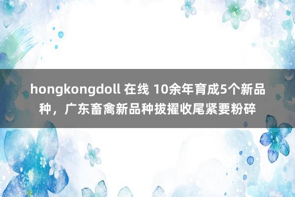 hongkongdoll 在线 10余年育成5个新品种，广东畜禽新品种拔擢收尾紧要粉碎