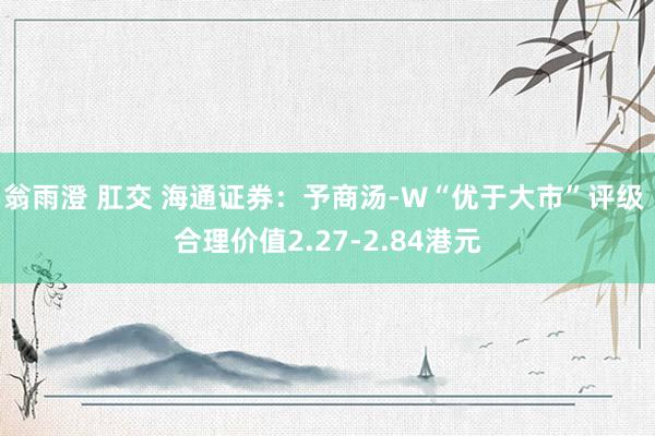 翁雨澄 肛交 海通证券：予商汤-W“优于大市”评级 合理价值2.27-2.84港元