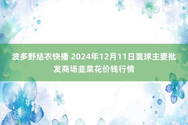 波多野结衣快播 2024年12月11日寰球主要批发商场韭菜花价钱行情