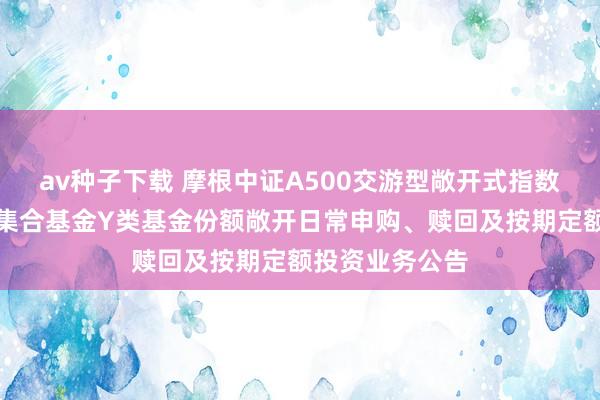 av种子下载 摩根中证A500交游型敞开式指数证券投资基金集合基金Y类基金份额敞开日常申购、赎回及按期定额投资业务公告