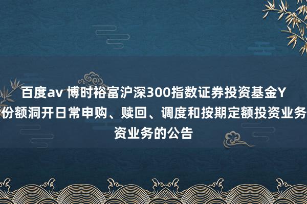 百度av 博时裕富沪深300指数证券投资基金Y类基金份额洞开日常申购、赎回、调度和按期定额投资业务的公告