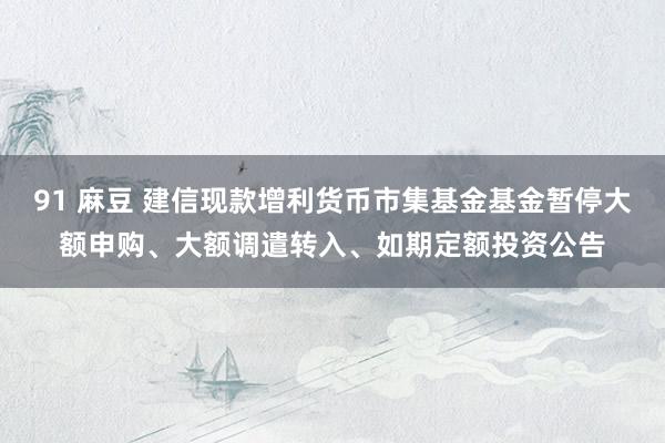 91 麻豆 建信现款增利货币市集基金基金暂停大额申购、大额调遣转入、如期定额投资公告