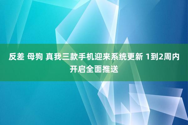 反差 母狗 真我三款手机迎来系统更新 1到2周内开启全面推送