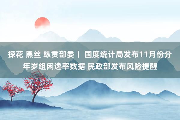 探花 黑丝 纵贯部委丨 国度统计局发布11月份分年岁组闲逸率数据 民政部发布风险提醒