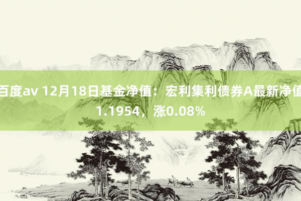 百度av 12月18日基金净值：宏利集利债券A最新净值1.1954，涨0.08%