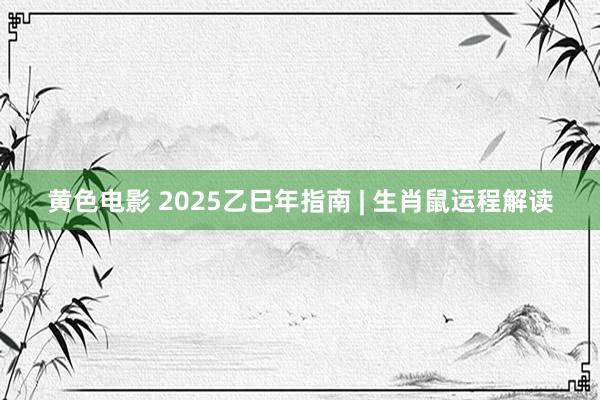 黄色电影 2025乙巳年指南 | 生肖鼠运程解读