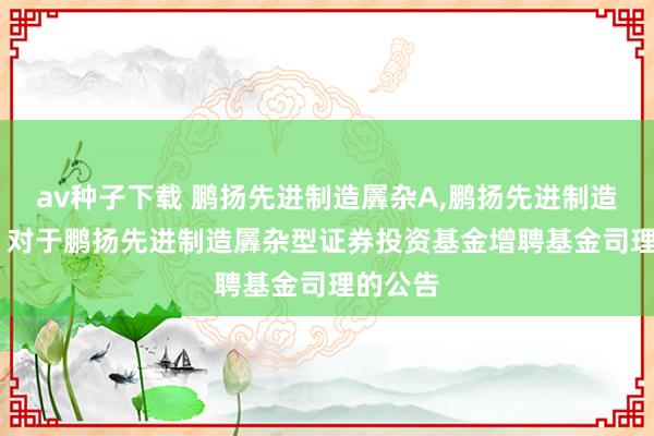 av种子下载 鹏扬先进制造羼杂A，鹏扬先进制造羼杂C: 对于鹏扬先进制造羼杂型证券投资基金增聘基金司理的公告