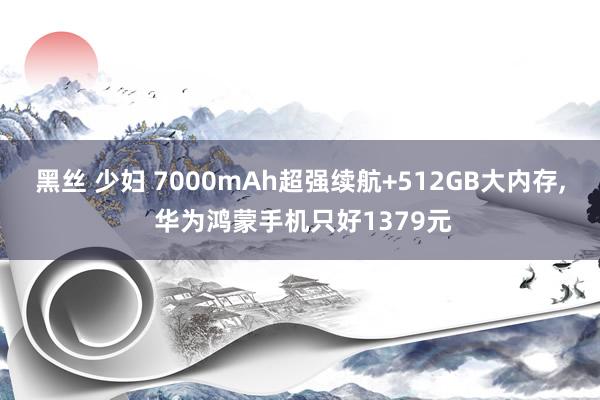 黑丝 少妇 7000mAh超强续航+512GB大内存， 华为鸿蒙手机只好1379元