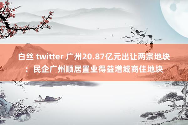 白丝 twitter 广州20.87亿元出让两宗地块：民企广州顺居置业得益增城商住地块