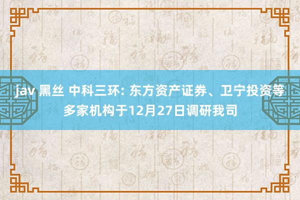 jav 黑丝 中科三环: 东方资产证券、卫宁投资等多家机构于12月27日调研我司